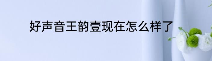 好声音王韵壹现在怎么样了