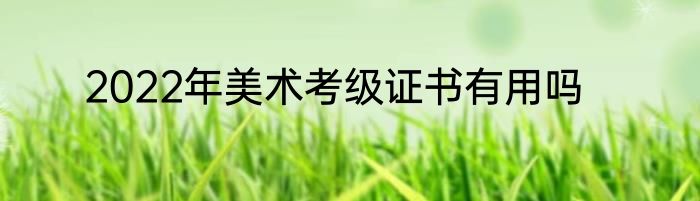 2022年美术考级证书有用吗