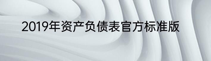 2019年资产负债表官方标准版