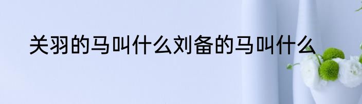 关羽的马叫什么刘备的马叫什么