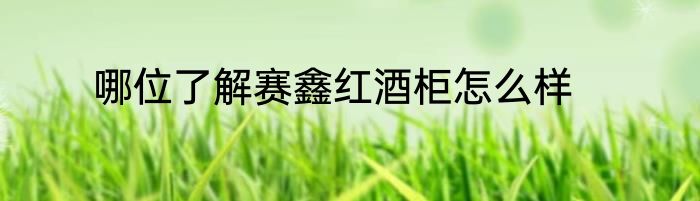 哪位了解赛鑫红酒柜怎么样