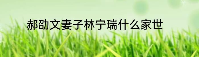 郝劭文妻子林宁瑞什么家世