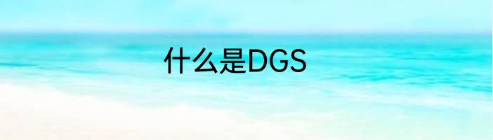 什么是DGS