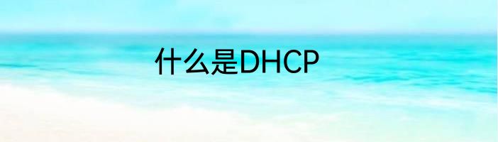 什么是DHCP