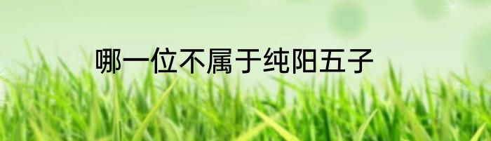 哪一位不属于纯阳五子