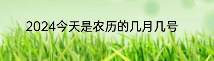 2024今天是农历的几月几号