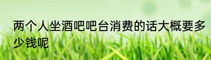 两个人坐酒吧吧台消费的话大概要多少钱呢