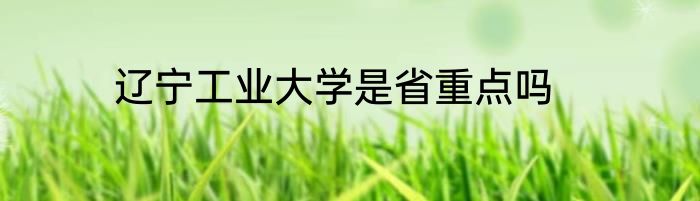 辽宁工业大学是省重点吗