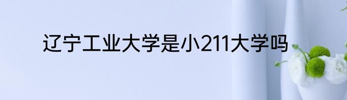 辽宁工业大学是小211大学吗