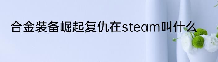 合金装备崛起复仇在steam叫什么
