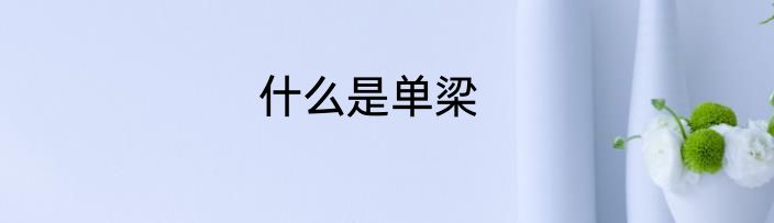 什么是单梁