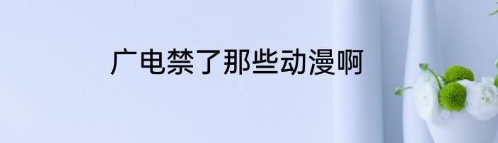 广电禁了那些动漫啊