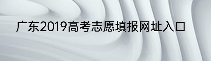 广东2019高考志愿填报网址入口