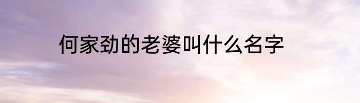 何家劲的老婆叫什么名字