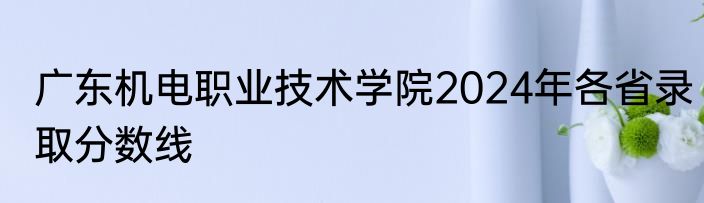 广东机电职业技术学院2024年各省录取分数线