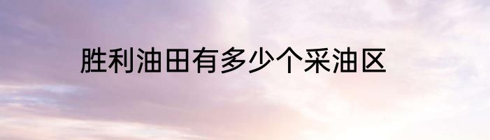 胜利油田有多少个采油区