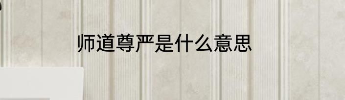 师道尊严是什么意思