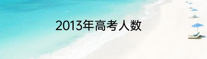 2013年高考人数