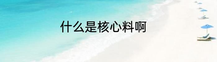 什么是核心料啊