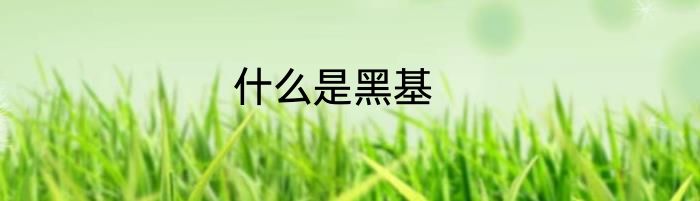 什么是黑基