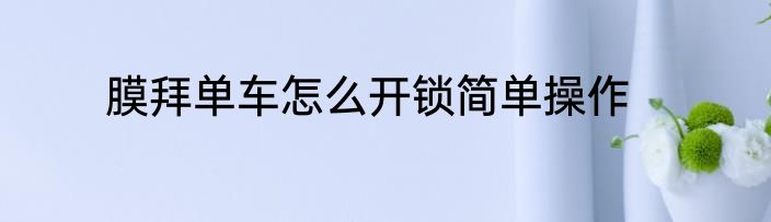 膜拜单车怎么开锁简单操作