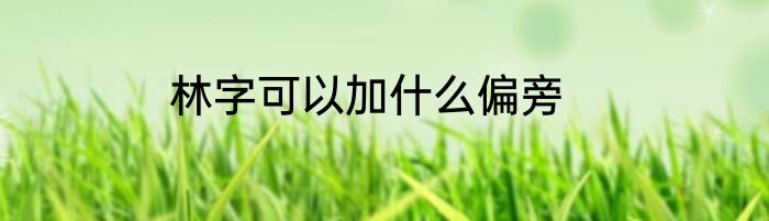 林字可以加什么偏旁