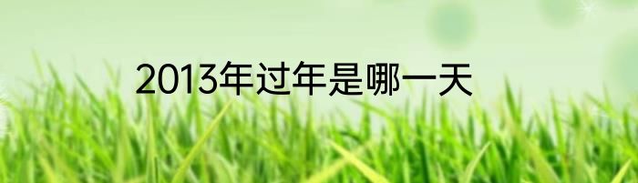 2013年过年是哪一天