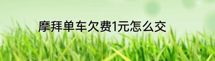 摩拜单车欠费1元怎么交