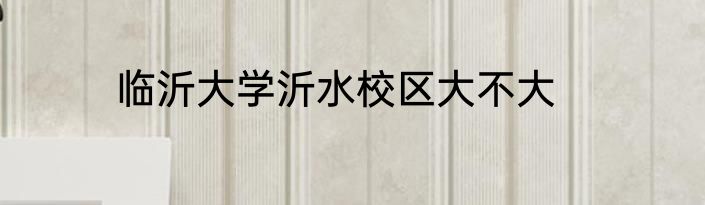 临沂大学沂水校区大不大