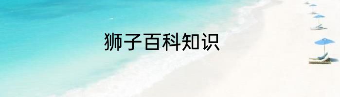 狮子百科知识