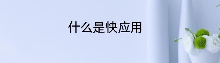 什么是快应用