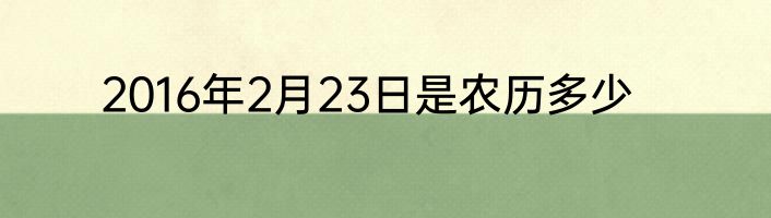 2016年2月23日是农历多少