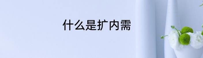 什么是扩内需