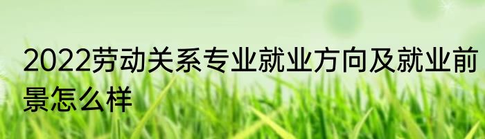 2022劳动关系专业就业方向及就业前景怎么样