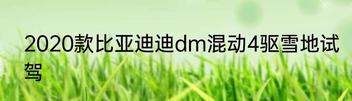 2020款比亚迪迪dm混动4驱雪地试驾