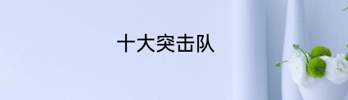 十大突击队