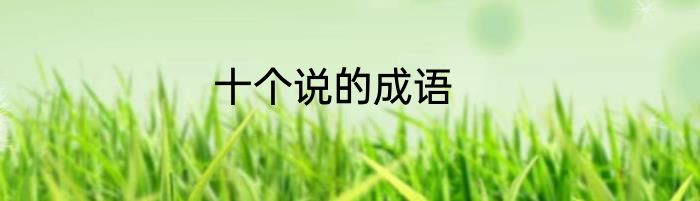 十个说的成语