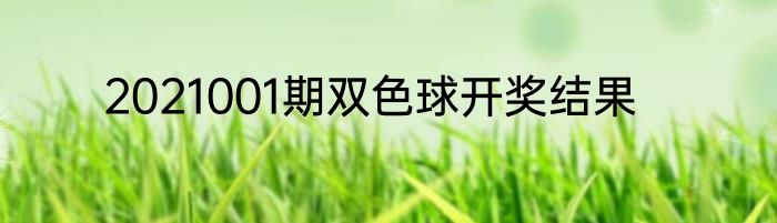 2021001期双色球开奖结果