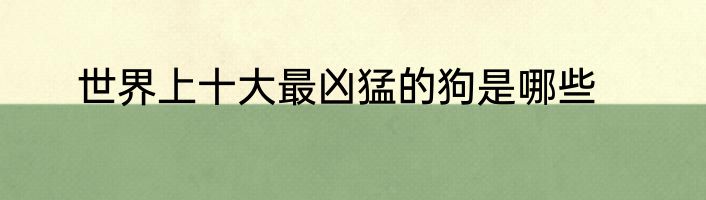 世界上十大最凶猛的狗是哪些