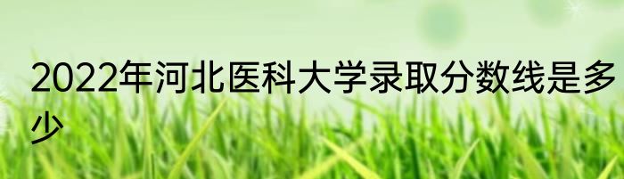 2022年河北医科大学录取分数线是多少