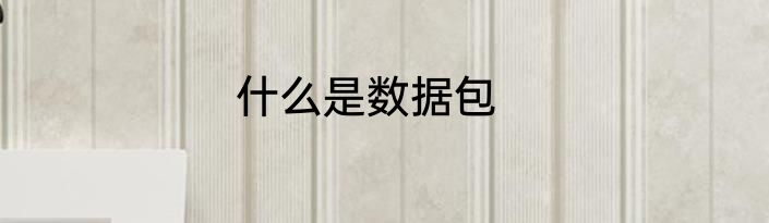 什么是数据包