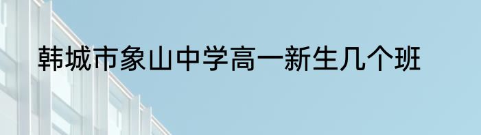 韩城市象山中学高一新生几个班