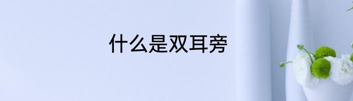 什么是双耳旁