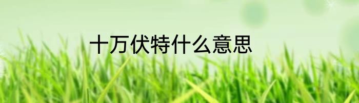十万伏特什么意思