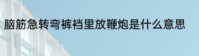 脑筋急转弯裤裆里放鞭炮是什么意思