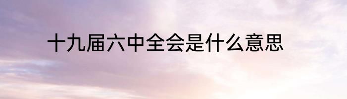 十九届六中全会是什么意思