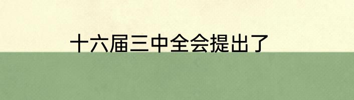 十六届三中全会提出了