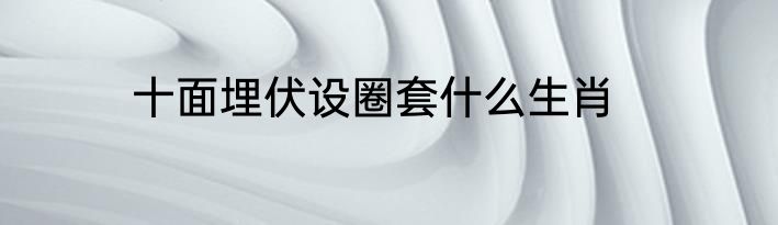 十面埋伏设圈套什么生肖