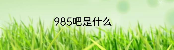 985吧是什么