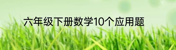 六年级下册数学10个应用题